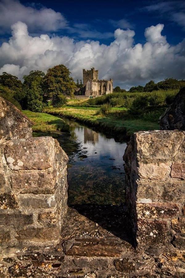 Ballyhack By The Sea Arthurstown المظهر الخارجي الصورة