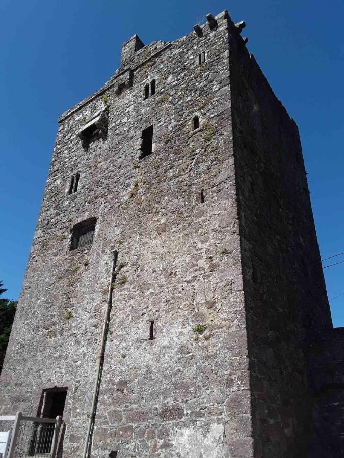 Ballyhack By The Sea Arthurstown المظهر الخارجي الصورة